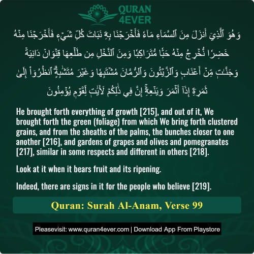 Quran Surah 6 Verse 99