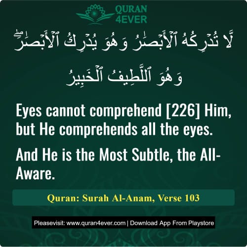 Quran Surah 6 Verse 103