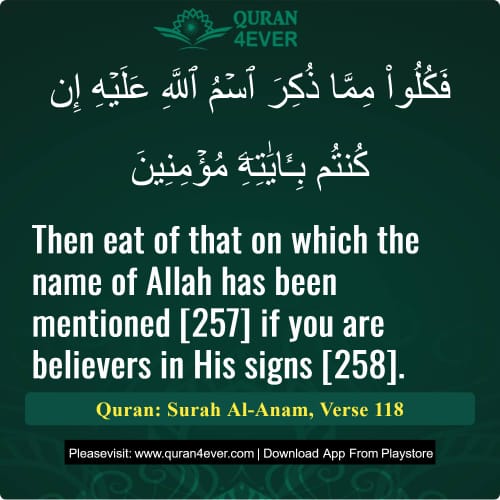 Quran Surah 6 Verse 118