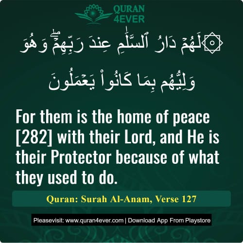 Quran Surah 6 Verse 127