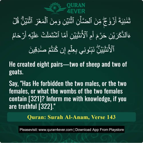 Quran Surah 6 Verse 143