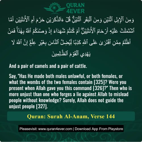 Quran Surah 6 Verse 144