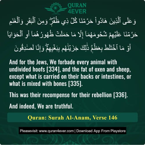 Quran Surah 6 Verse 146