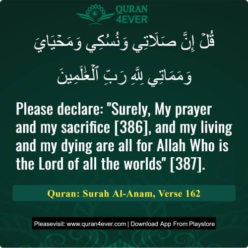 Quran Surah 6 Verse 162