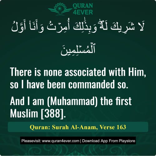 Quran Surah 6 Verse 163