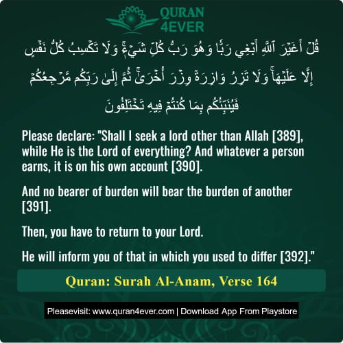 Quran Surah 6 Verse 164
