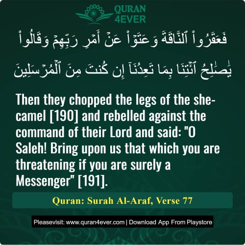Quran Surah 7 Verse 77