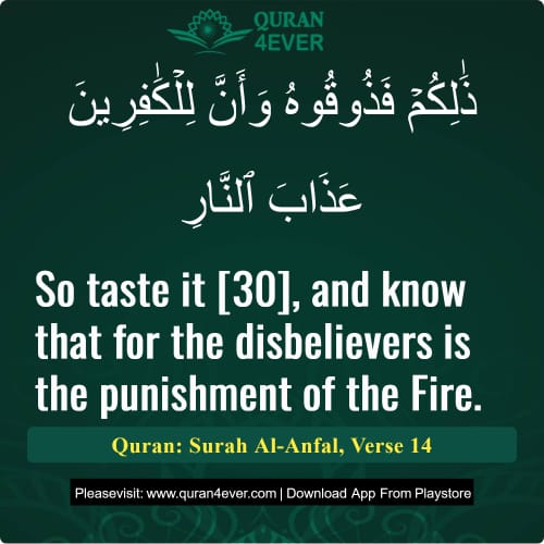 Quran Surah 8 Verse 14