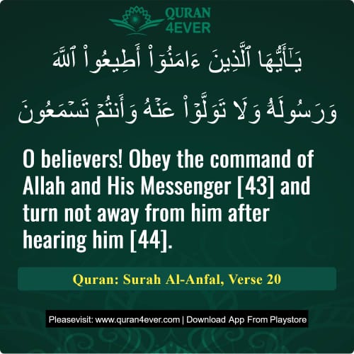 Quran Surah 8 Verse 20 Quran Surah 8 Verse 20