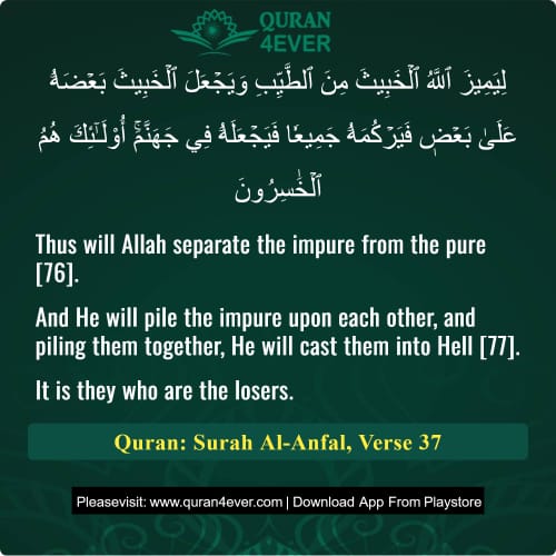 Quran Surah 8 Verse 37