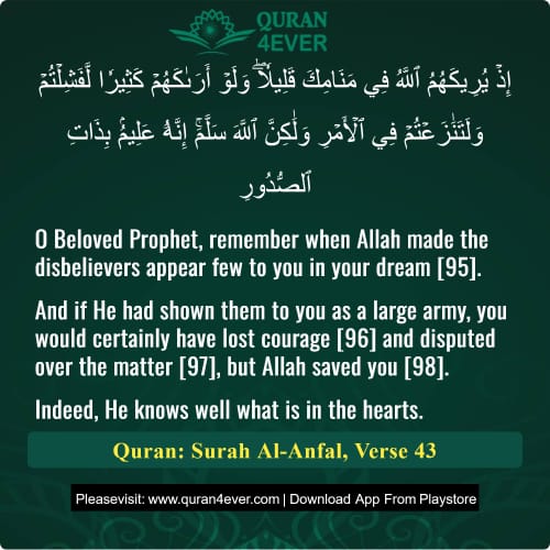 Quran Surah 8 Verse 43