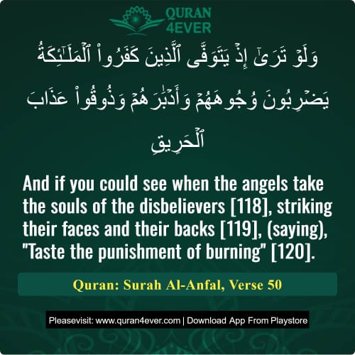 Quran Surah 8 Verse 50