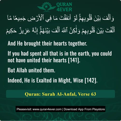 Quran Surah 8 Verse 63