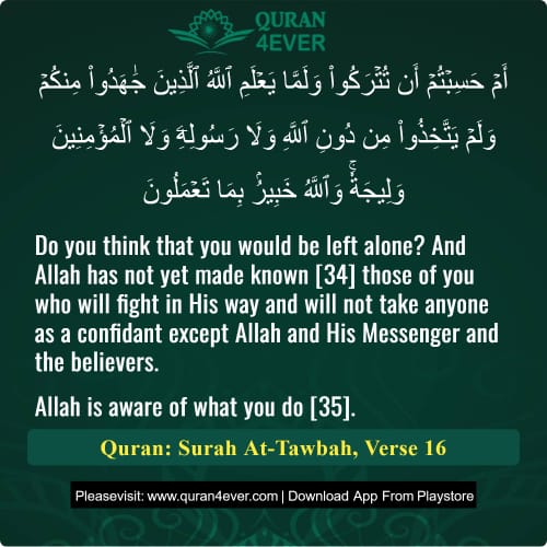 Quran Surah 9 Verse 16