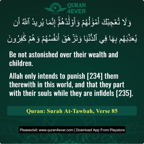 Quran Surah 9 Verse 85