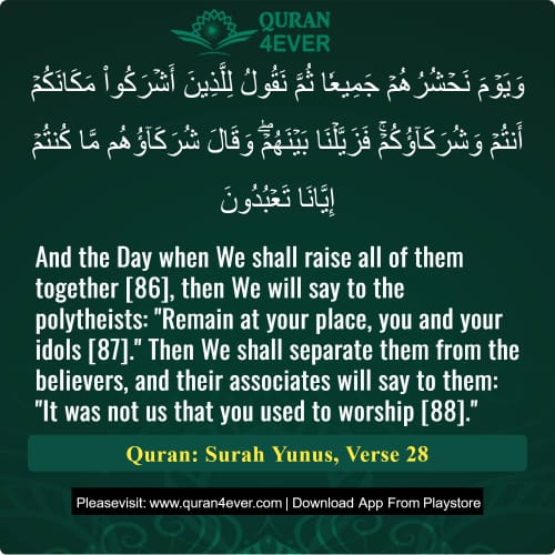 Quran Surah 10 Verse 28