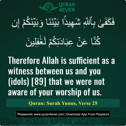 Quran Surah 10 Verse 29