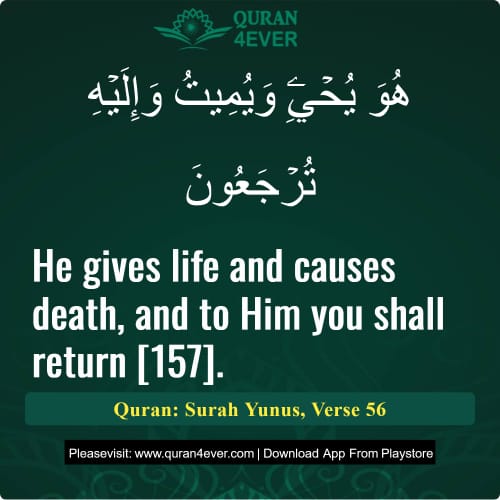 Quran Surah 10 Verse 56
