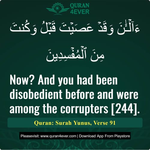 Quran Surah 10 Verse 91