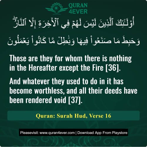 Quran Surah 11 Verse 16