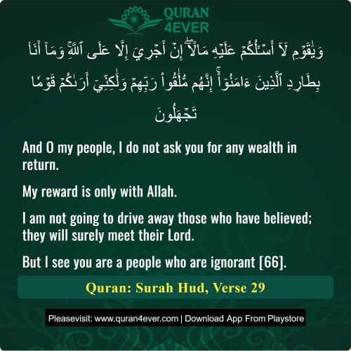 Quran Surah 11 Verse 29