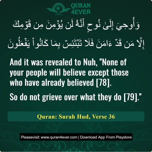 Quran Surah 11 Verse 36