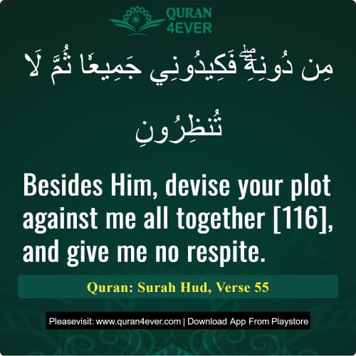 Quran Surah 11 Verse 55 Quran Surah 11 Verse 55