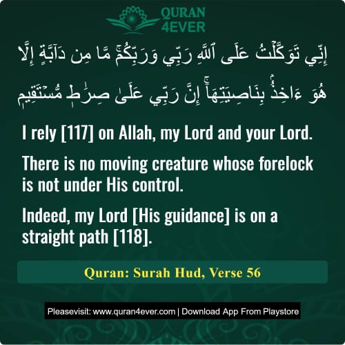 Quran Surah 11 Verse 56