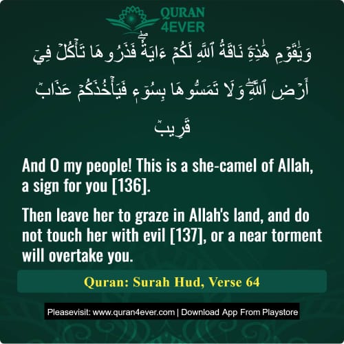 Quran Surah 11 Verse 64