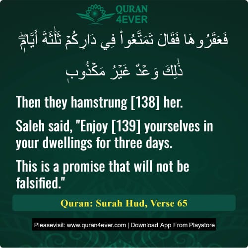 Quran Surah 11 Verse 65