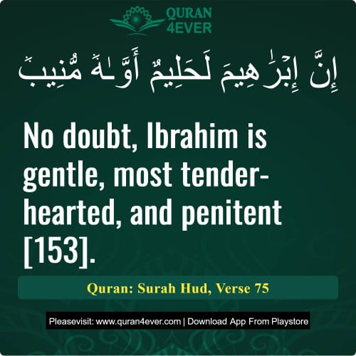 Quran Surah 11 Verse 75