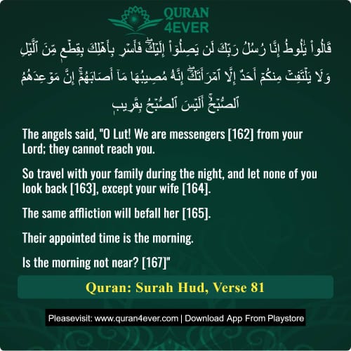 Quran Surah 11 Verse 81