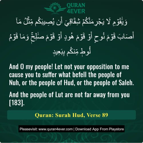 Quran Surah 11 Verse 89