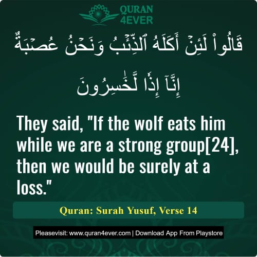 Quran Surah 12 Verse 14