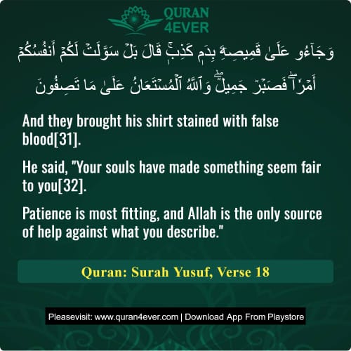 Quran Surah 12 Verse 18
