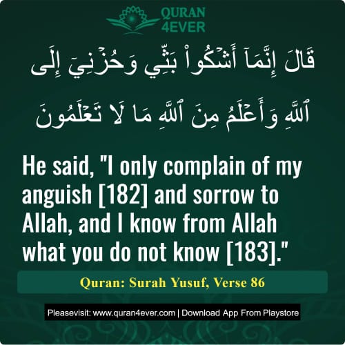 Quran Surah 12 Verse 86