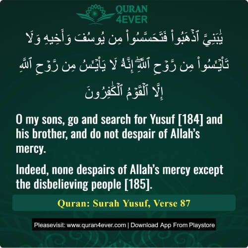 Quran Surah 12 Verse 87