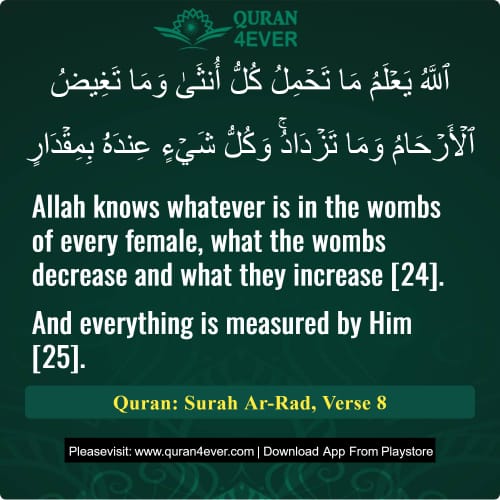 Quran Surah 13 Verse 8