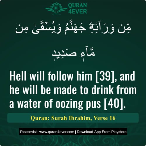 Quran Surah 14 Verse 16