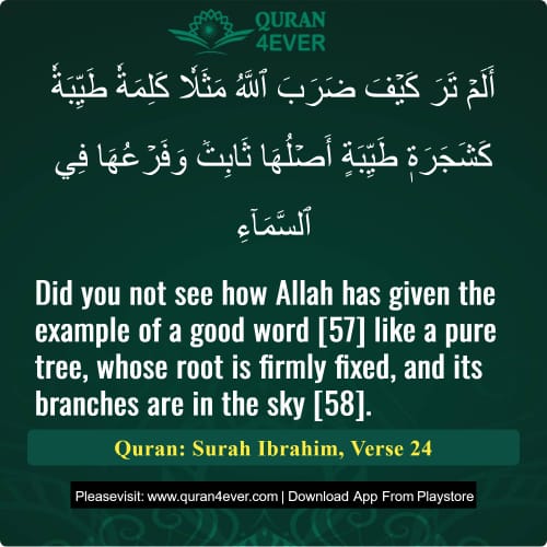 Quran Surah 14 Verse 24