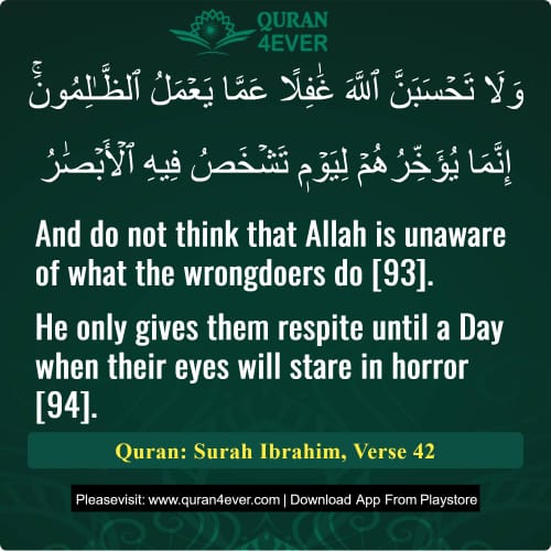Quran Surah 14 Verse 42