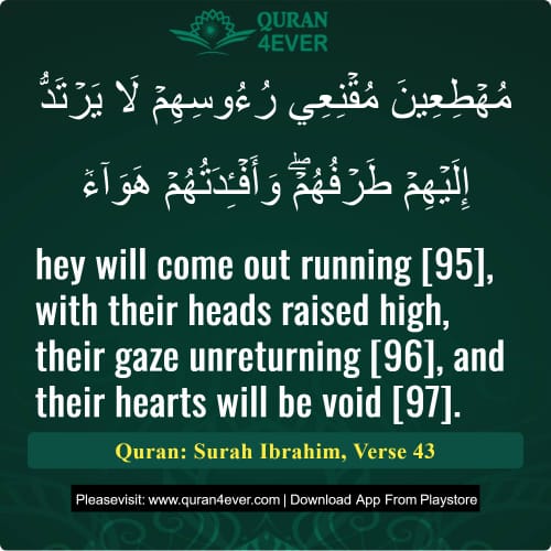 Quran Surah 14 Verse 43