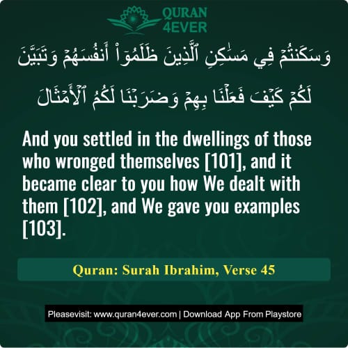 Quran Surah 14 Verse 45