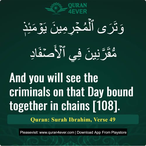 Quran Surah 14 Verse 49