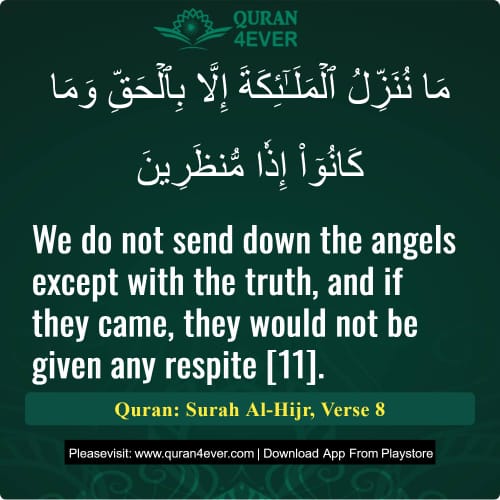 Quran Surah 15 Verse 8
