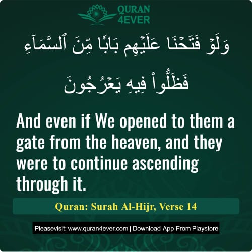 Quran Surah 15 Verse 14