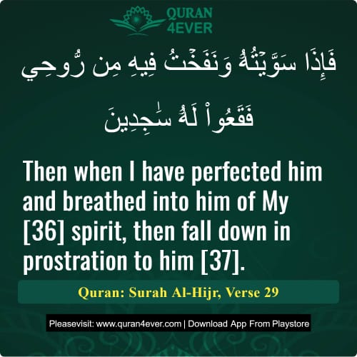 Quran Surah 15 Verse 29