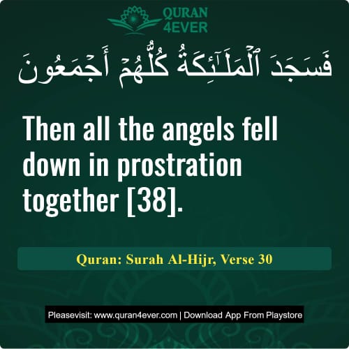 Quran Surah 15 Verse 30
