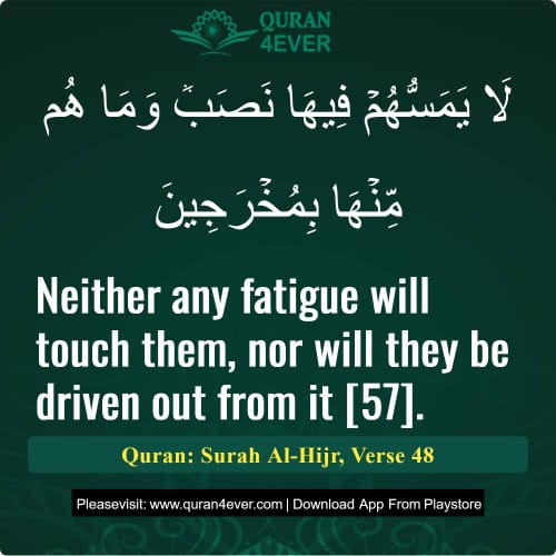 Quran Surah 15 Verse 48