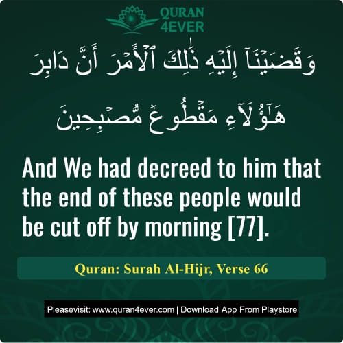 Quran Surah 15 Verse 66